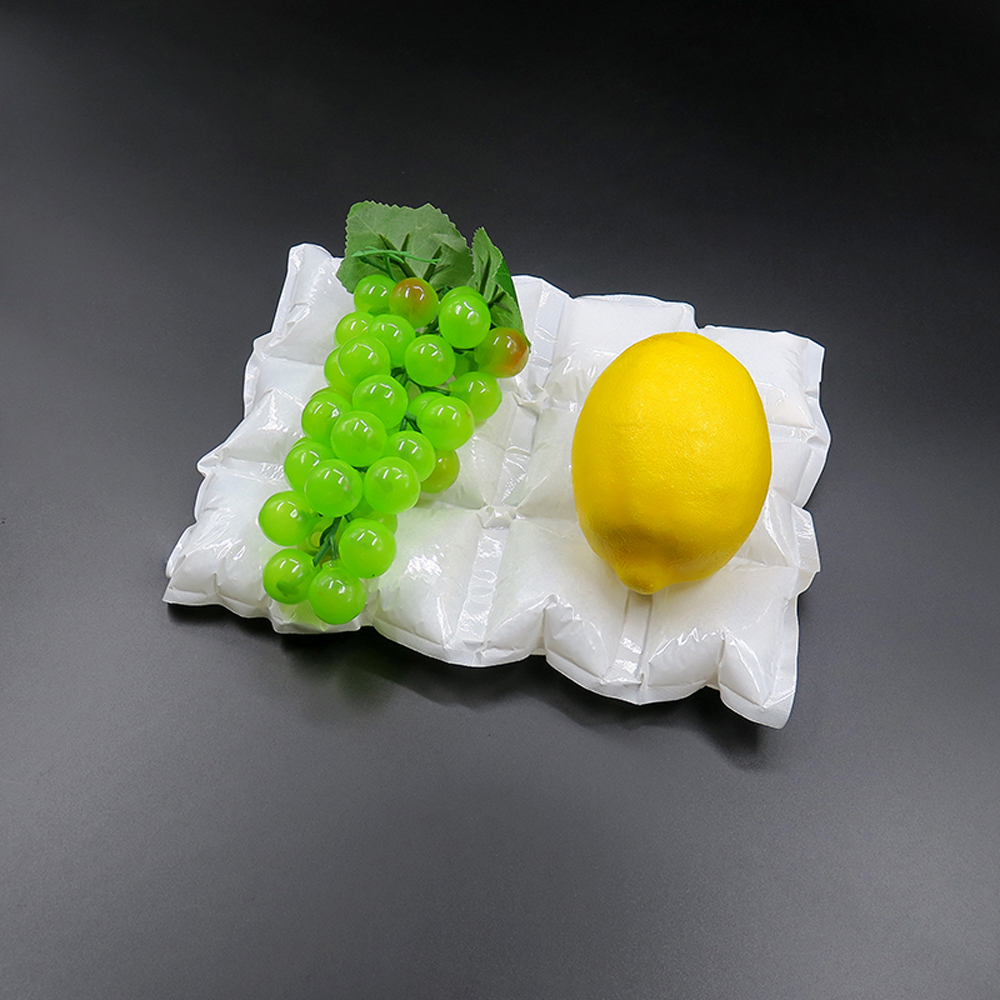 Paquete de hielo Almohadillas de hielo de gel para alimentos frescos Transporte congelado Frutas Mariscos Alimentos cocinados